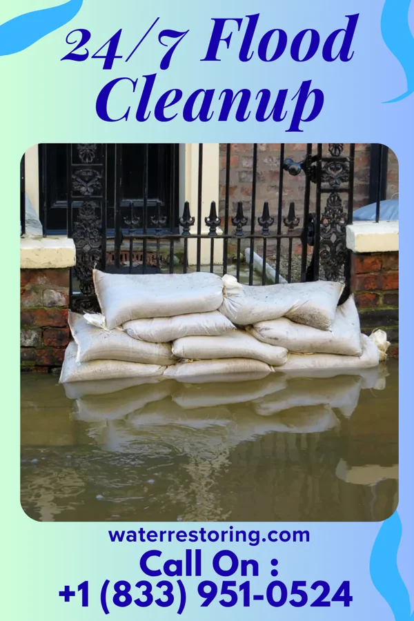 24/7 Flood Cleanup in West, MS