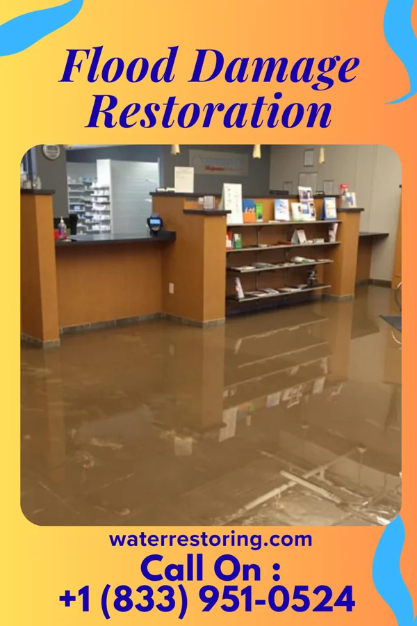 Flood Damage Restoration in West, MS