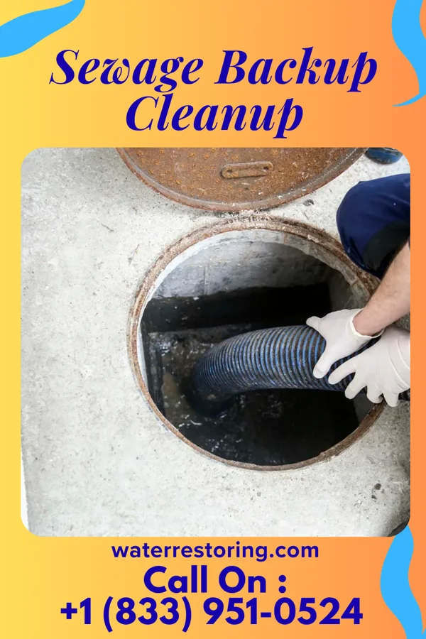 Sewage Backup Cleanup in West, MS